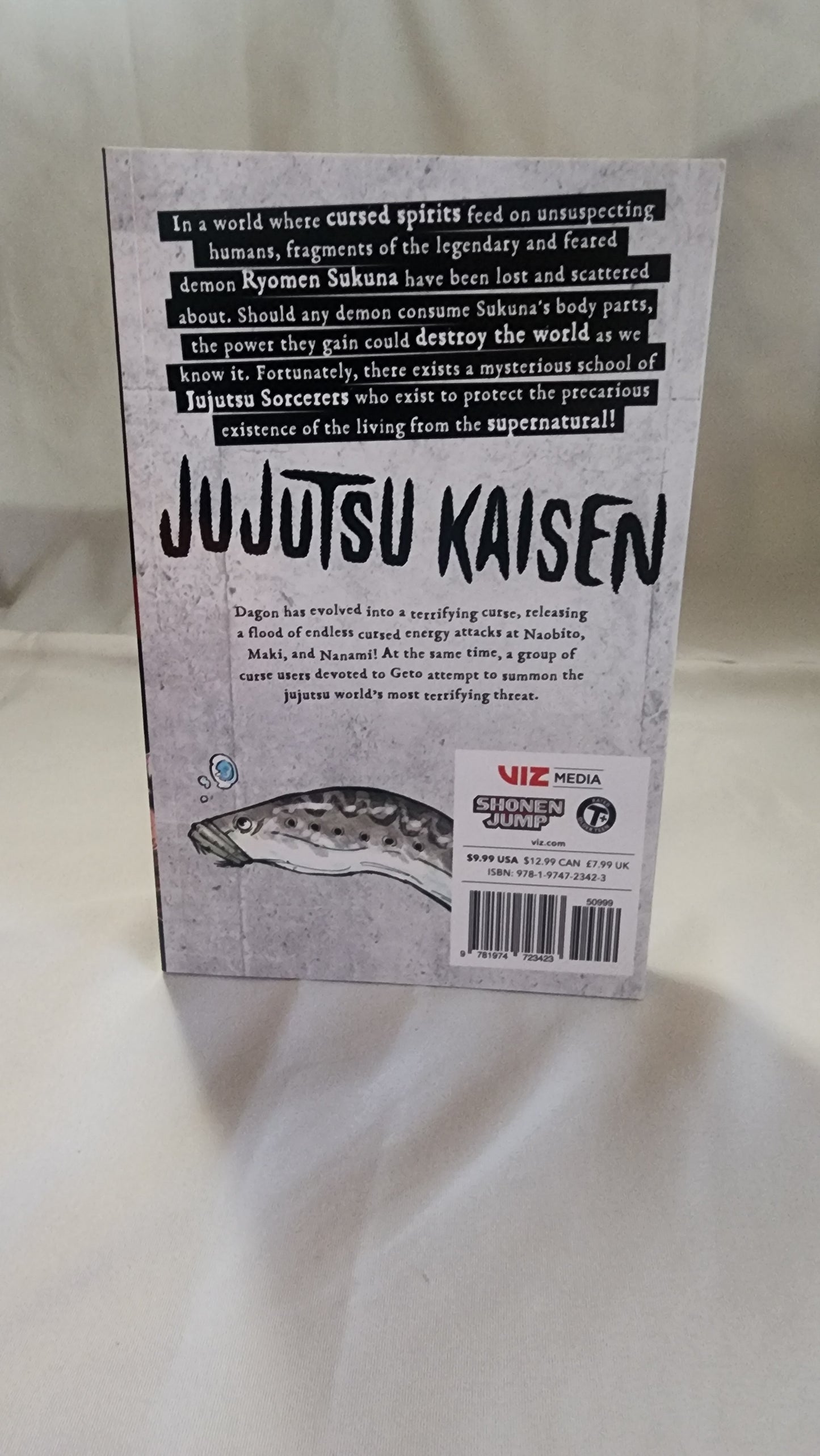 Jujutsu Kaisen Manga Volume 13