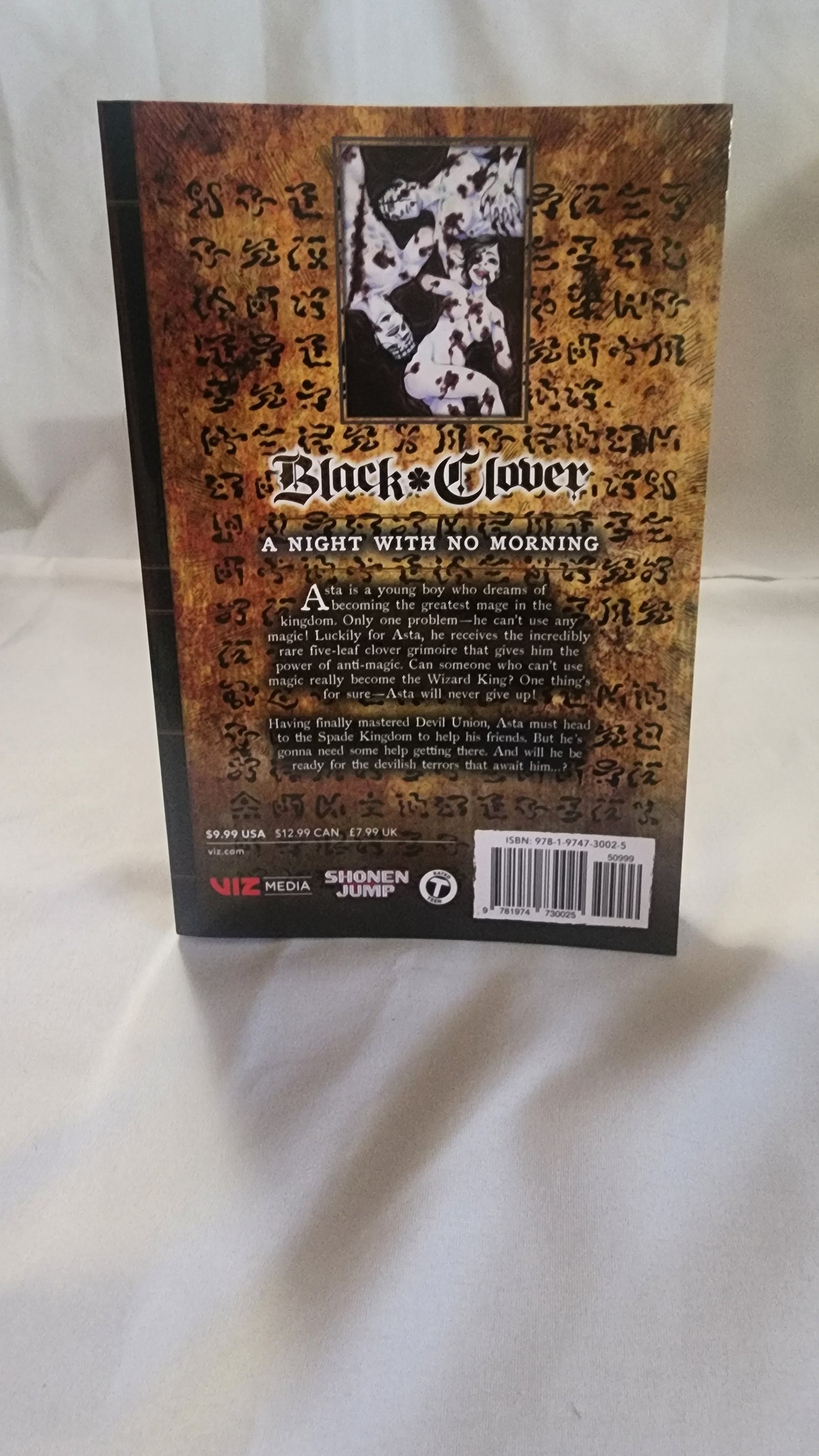 Black Clover Manga Volume 29